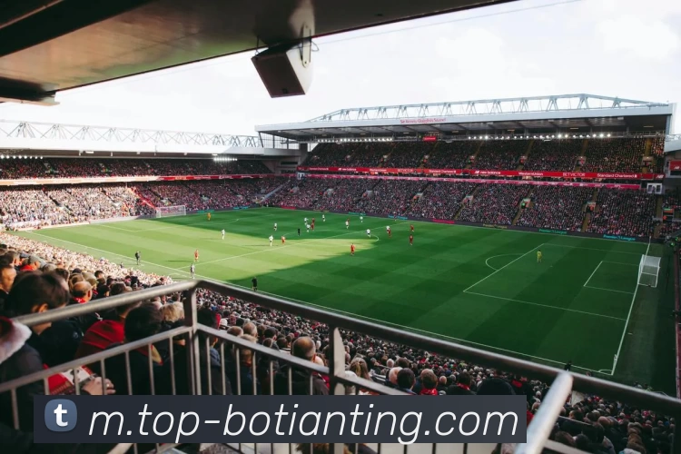 App Interface Preview